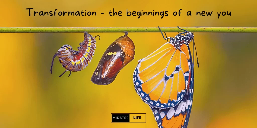 A caterpillar, a caterpillar's cocoon, and a butterfly hanging from a plant demonstrate the story of transformation and the emergence of something beautiful.