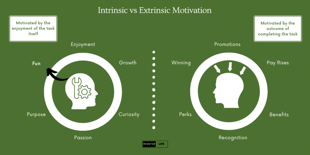 Infographic detailing the differences between intrinsic and Extrinsic Motivation.