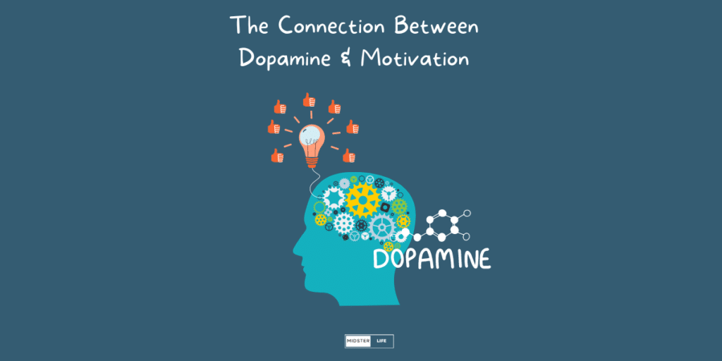 The Connection between Dopamine and Motivation. 